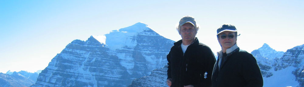 Advencha before Dementia