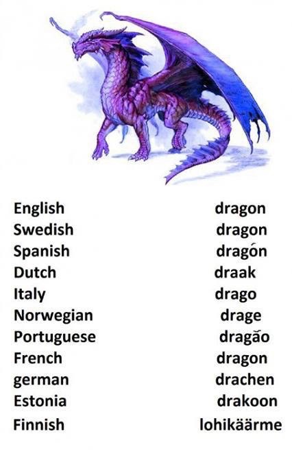 dragon-9gag.com (1)