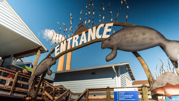 2024 In Search of the&nbsp;Manatees